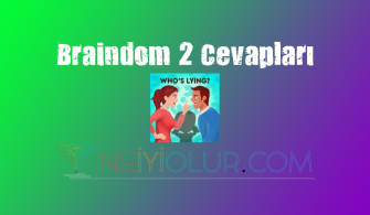 Braindom Riddle 2 Cevapları