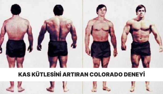 Fitness Topluluğunu İkiye Bölen Colorado Deneyi